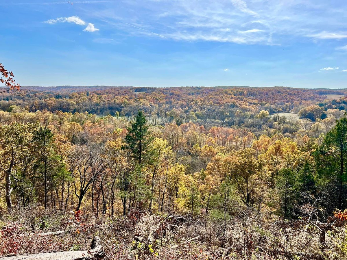 Ozark 100