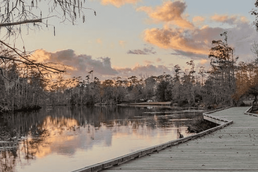 Wild Cajun Trail Runs