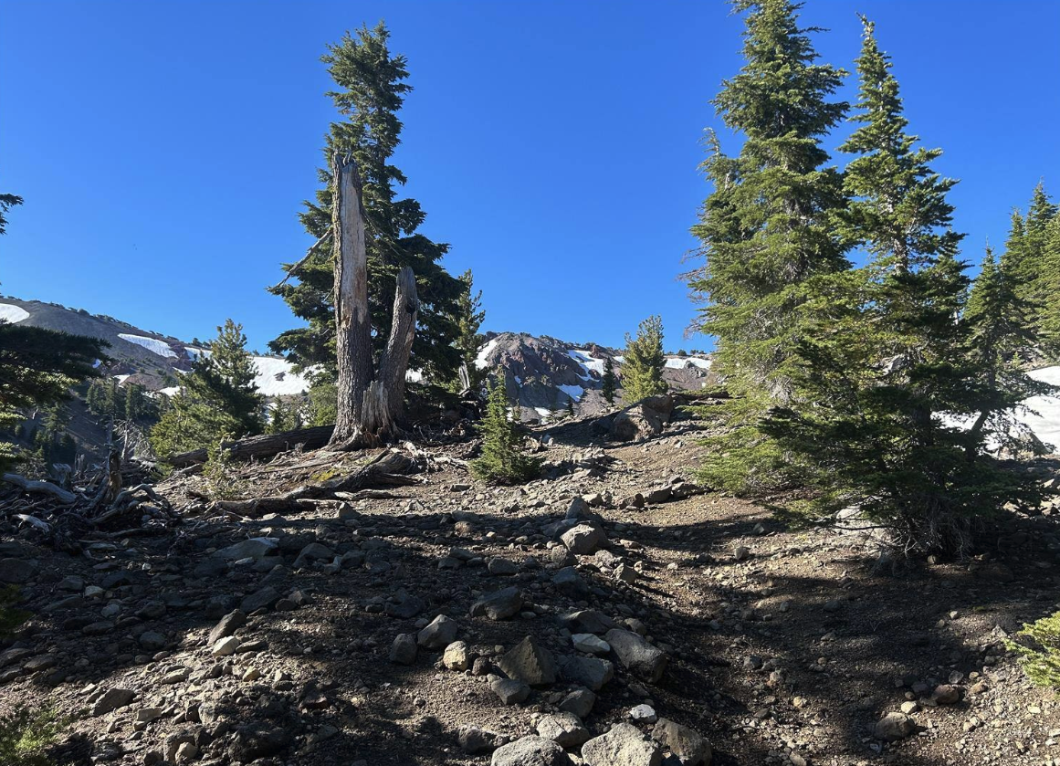 burney mt 2