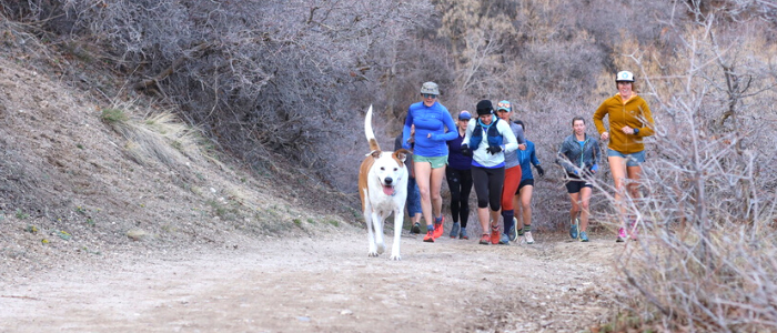 Running group out for a trail run. 